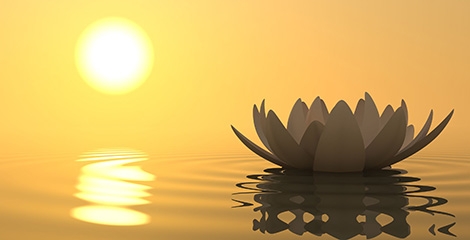 Foto de uma flor de lotus na agua e um sol ao fundo com um céu alaranjado.